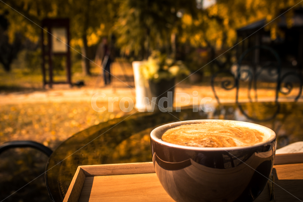 커피,라떼,바닐라라떼,coffee,은행잎,가을,계절,fall,autumn,season,커피,카페,coffee,cafe,감성,sensible,feeling,coffee cup,커피 컵,cup,컵,beverage,마실 것,latte,drink,음주