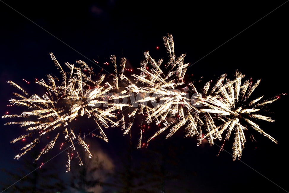 불꽃놀이,불꽃,새해,2019년새해,놀이,야경,밤,풍경,nightscape,night,landscape,축제,행사,festival,carnival,event,nature,자연,outdoors,옥외
