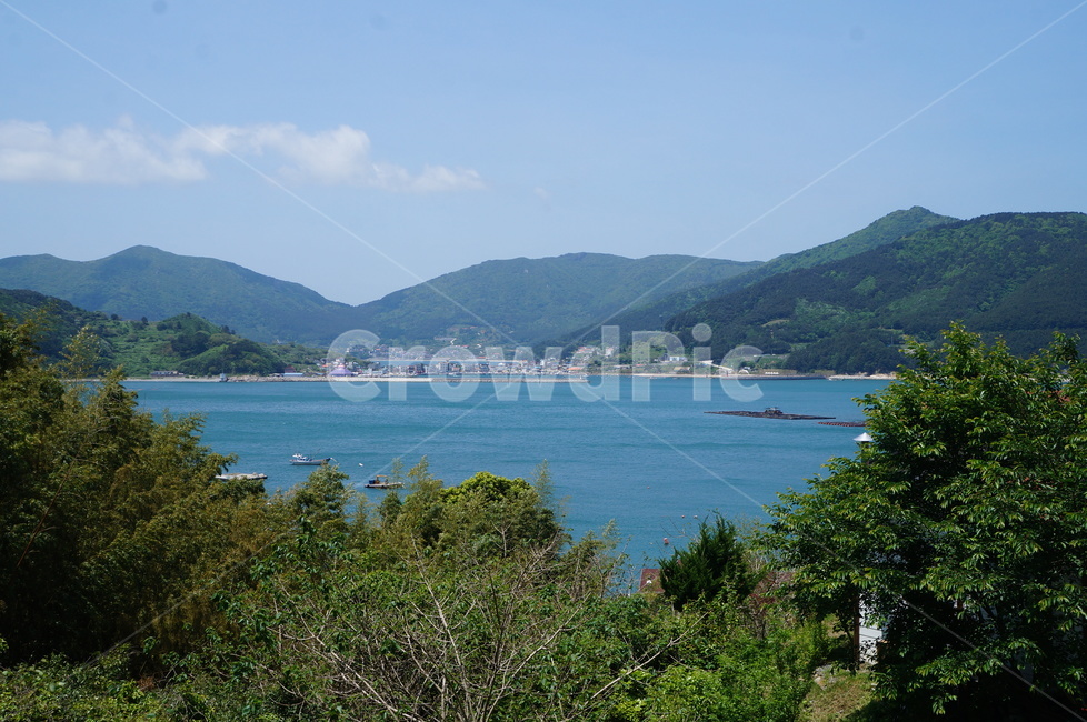 자연,산,바다,nature,거제도,거제도풍경,옥외,초록,green