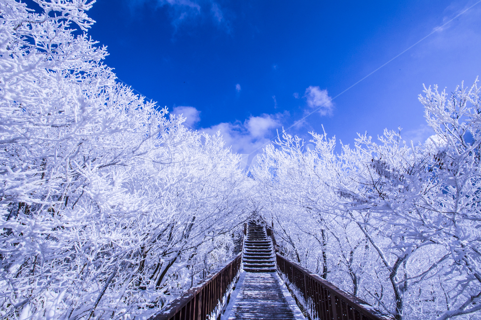 눈꽃풍경,상고대,설경,겨울풍경,국립공원,겨울동화,힐링,감성,아름다움,뷰티풀,설국,눈풍경,파란하늘,100대명산,겨울명산,서리꽃,영동,snow,눈,화이트,자연,신비로운,경이로운,천상,비경,치유,산,명산,겨울,계절,winterseason,풍경,한국자연풍경,한국자연경관,korea,nature,landscape,식물,plants,나무,trees,wood,겨울,계절,winter,season,자연,풍경,nature,landscape,outdoors,옥외