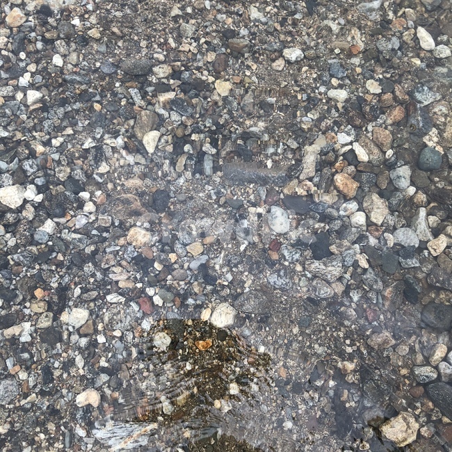 자연,돌,계곡물,산과계곡,시원함,상주계곡