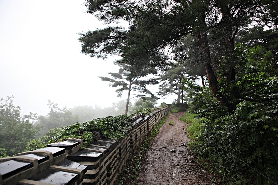남한산성,성,성곽,길,둘레길,숲,숲길,안개,벽,방어벽,돌담,담,여름,풍경