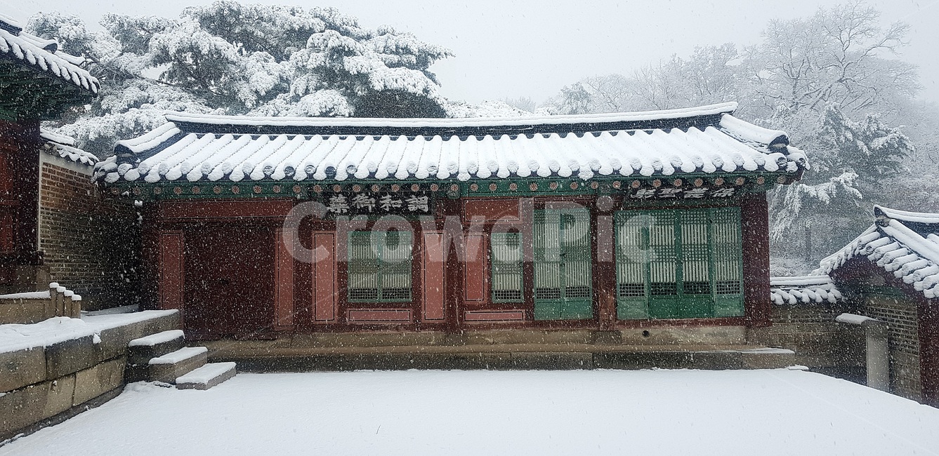 창덕궁,설경,첫눈,서설,고궁,palace,firstsnow,changdeokgungpalace,겨울,계절,winter,season,한국전통,한국문화,korean traditional,korean culture,랜드마크,landmark,tourist attraction,한국랜드마크,한국관광지,한국명소,korea landmark,korea tourist attraction,건축물,건물외관,exterior,building,structure,architecture,construction