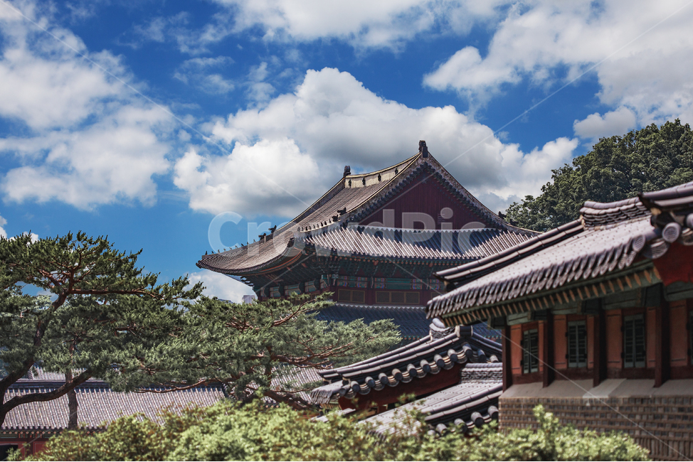 문화유산,사진,역사,조선,조선시대,전통,전통건축물,전통건물,궁궐,왕궁,궁,기둥,건축양식,문화재,목조,목조건물,한옥,단청,나무,나무바닥,문화,유산,기와,지붕,계단,하늘,푸른하늘,구름,소나무,유물,유적,유적지,건축,처마,주춧돌,누각,building,건물,architecture,건축물,한국전통,한국문화,korean traditional,korean culture
