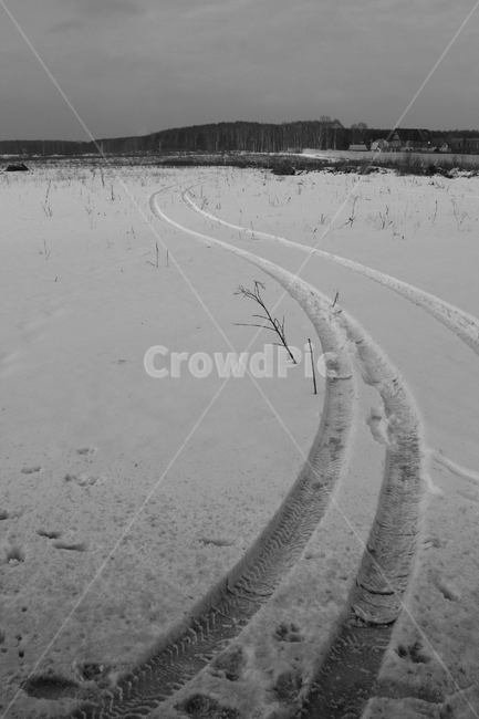 자동차바퀴자국,시베리아,러시아,모스크바,눈길,흑적,겨울,계절,winter,season,자연,풍경,nature,landscape,outdoors,옥외