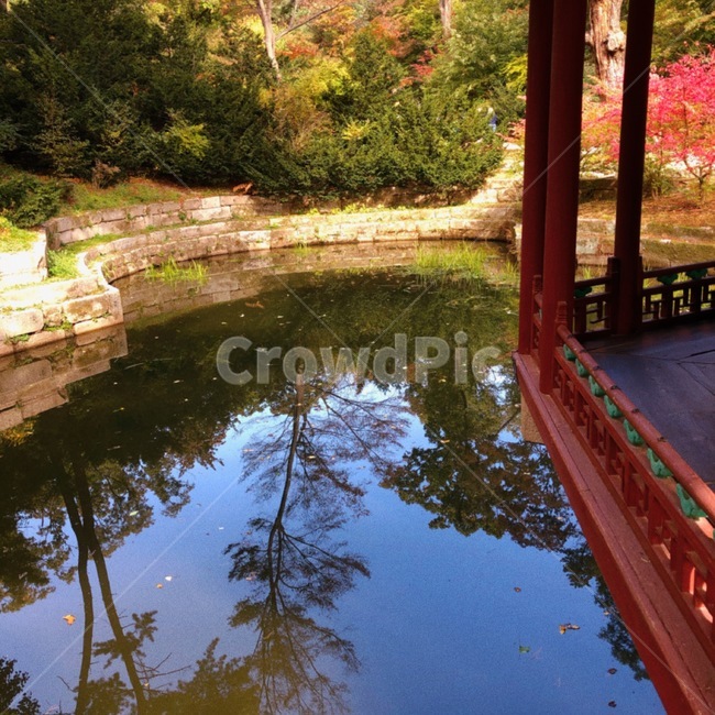 changdeokgungpalace,창덕궁,창덕궁후원,한국관광지,유명관광지,한국궁궐,풍경,경치,낙엽,architecture,building