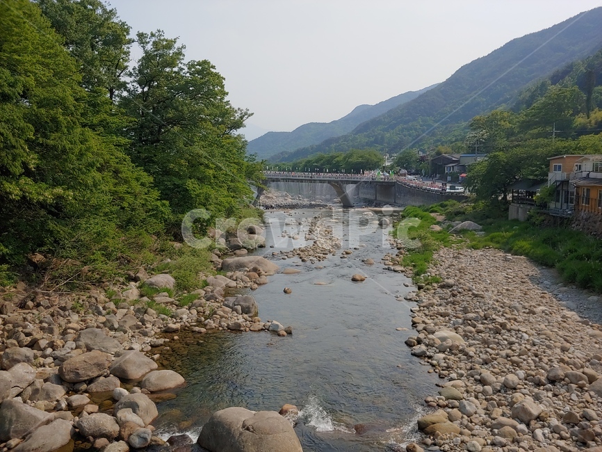 산,강,나무,시골,mountain,river,tree,thecountryside