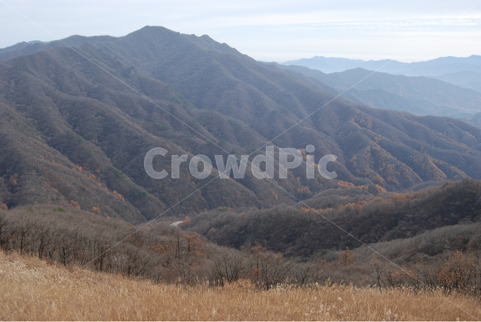 장안산,장수군,100대명산,능선,등산,자연,풍경,nature,landscape,한국자연풍경,한국자연경관,korea nature landscape,outdoors,옥외,hill,언덕