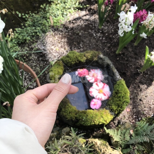 꽃,감성적인꽃,감성사진,네일,꽃축제,flower