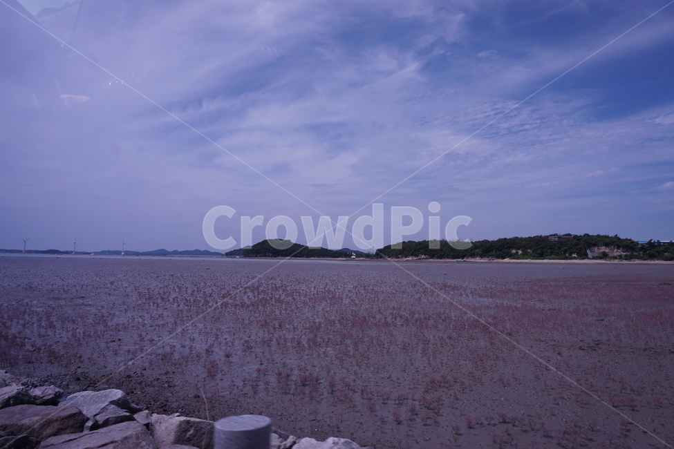 자연,바다,갯벌,조용한,sea,nature,lonely,calm