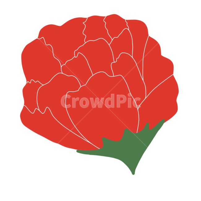 가정의달이미지공모전,카네이션,어버이날,스승의날,카네이션이미지,카네이션일러스트,카네이션아이콘,꽃,식물,가정의달,부모님,선생님,일러스트,carnation