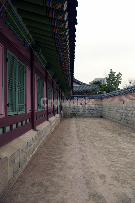 경복궁,뒷마당,담,한옥,전통