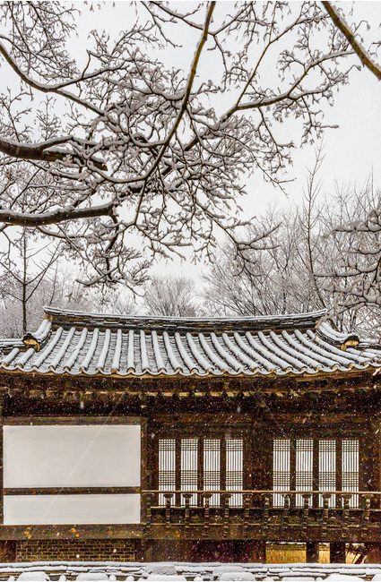 고택,기와,설경,눈보라,문화유산,전통,겨울,계절,winter,season,한국전통,한국문화,korean traditional,korean culture,건축물,건물외관,exterior,building,structure,architecture,construction