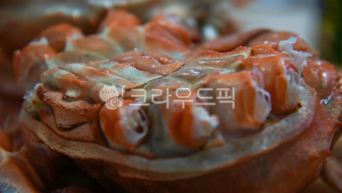 meal,food,홍게,대게,갑각류,식사,음식,seafood,해물