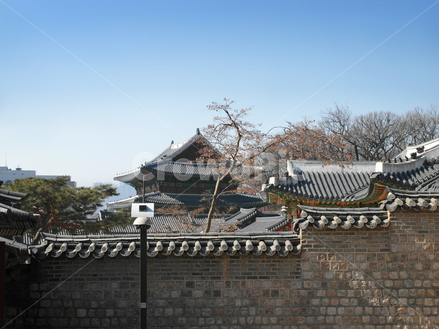 서울,궁,창덕궁,돌담길,기와,용마루,잡상,지붕