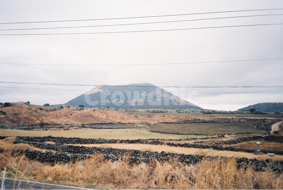 제주도,용눈이오름,오름,동산,산,나무,갈대,목장,jejudo,mountain,tree,reed,oleum,파노라마,필름카메라,필름사진,필름,filmphoto,도로,road,전봇대,화강암,논,무덤,하늘,sky,자연,풍경,nature,landscape,제주도,jeju,jeju island,outdoors,옥외