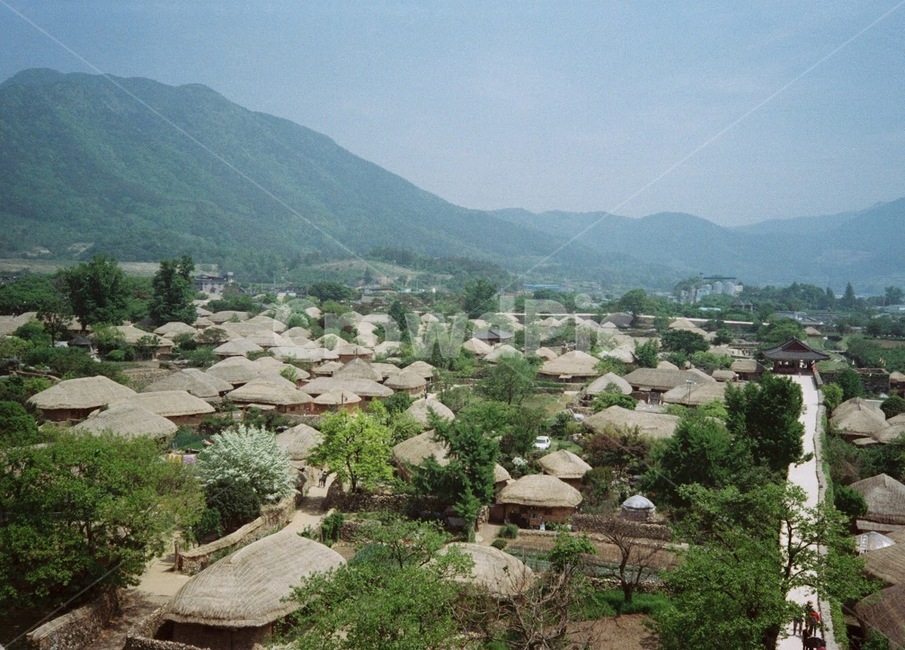 낙안읍성,전통적인,가옥,마을,순천,한국,traditional,village,시골,마을,풍경,landscape,country,rural,town,한국전통,한국문화,korean traditional,korean culture