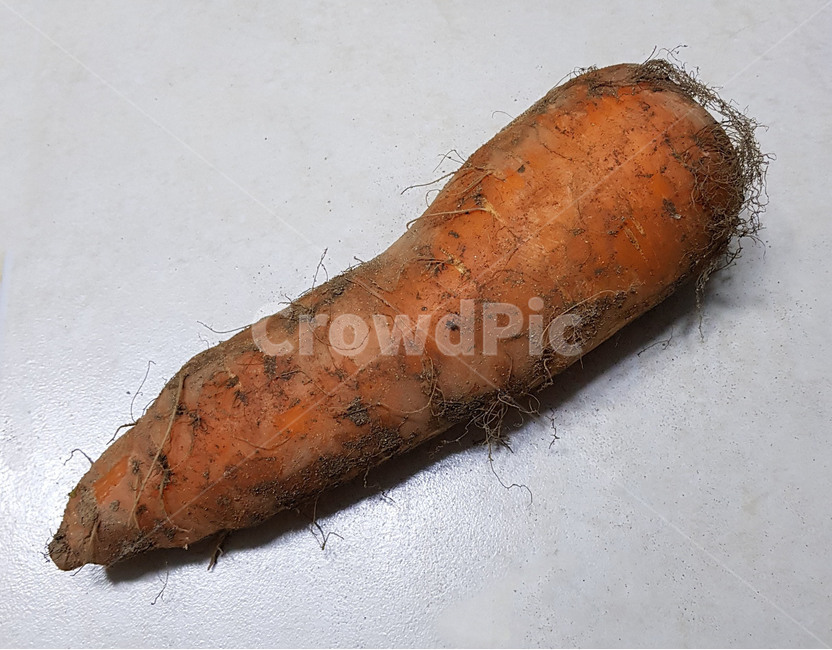 당근,주황,작물,채소,plant,식물,vegetable,야채,food,음식,produce,생산액,yam,얌,carrot,흙당근