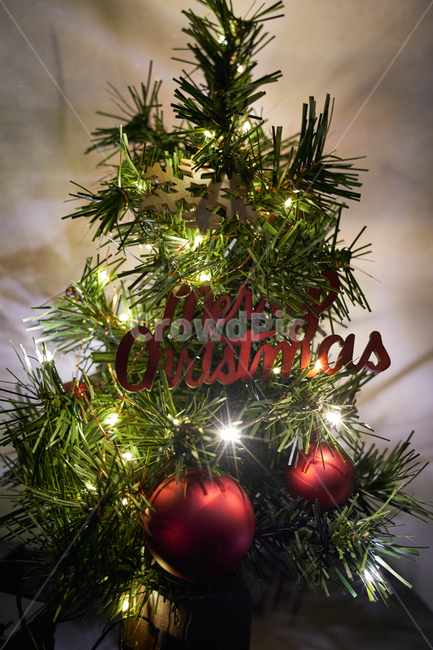 크리스마스,트리,나무,장식,겨울,chiristmas,tree,데코레이션,축제,행사,festival,carnival,event,메리크리스마스,성탄절,merry christmas