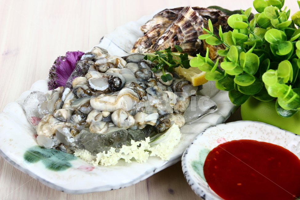 석화,굴,생굴,해산물,조개,신선,싱싱,음식,식품,dish,oysters,seafood,shellfish,fresh,crispy,food,음식,식재료,요리,food,cook,meal,dishes,food reserves,수산물,해산물,fishery products,seafood