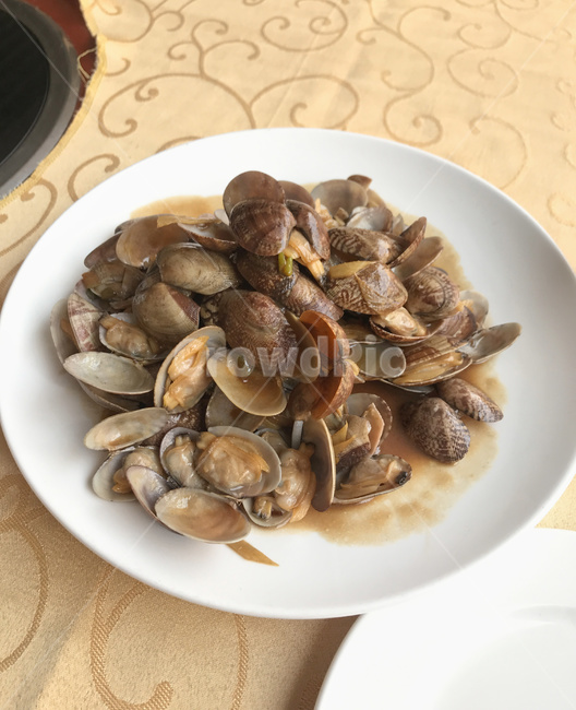 조개,해양생물,요리,음식,볶음요리,마늘,접시,중국요리,조개볶음,appetizer,china,chinesefood,clams,cooked,cooking,cuisine,delicious,dinner,dish,food,fresh,garlic,healthy,meal,natural,plate,qingdao,roasted,roastedclams,sauce,seafood,tasty,traditional