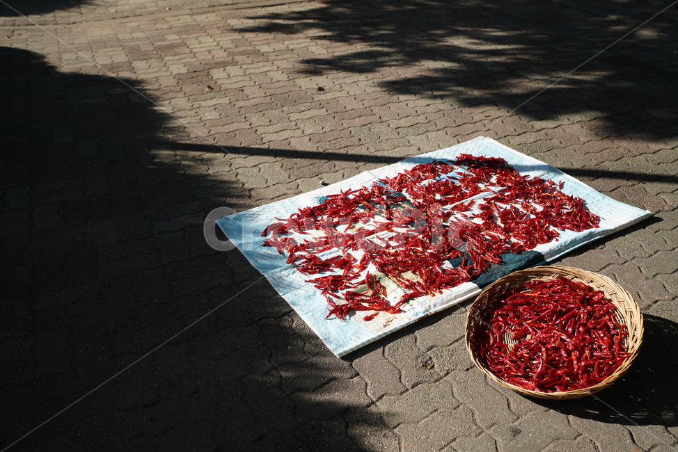 거리,그림자,고추,색감,빨강,레드,red,햇빛,건조,음식,식재료,요리,food,cook,meal,dishes,food reserves,채소,야채,vegetables