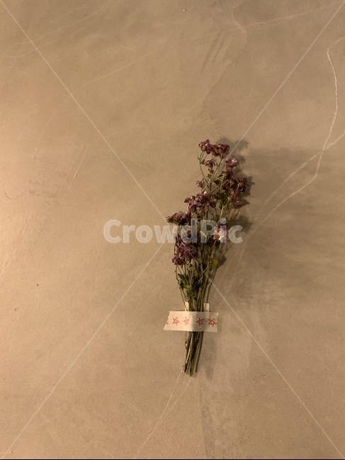 꽃,드라이플라워,감성사진,꽃다발,감성,봄,꽃,flower