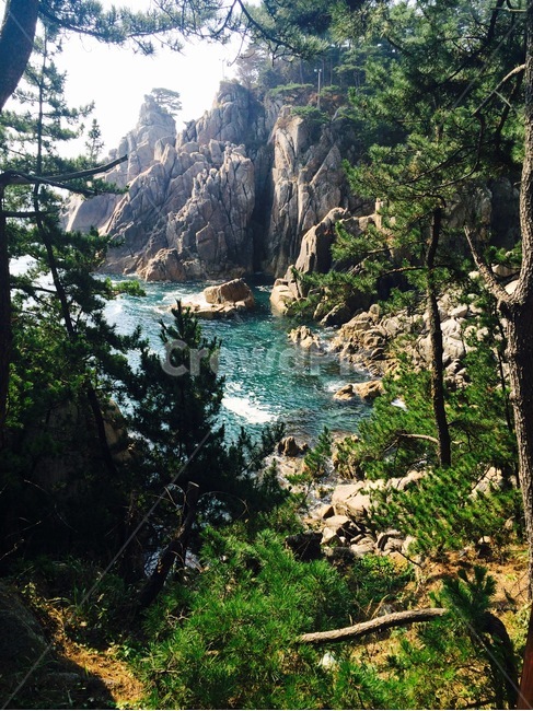 풍경,landscape,자연,beach,nature,tree