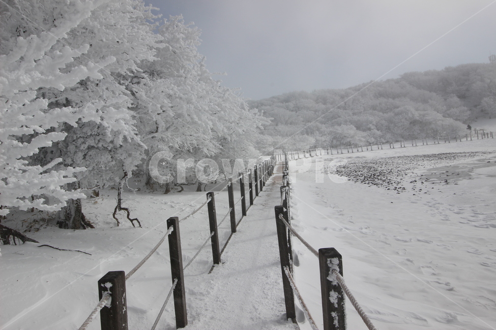 한라산,사라오름,성판악코스,눈꽃,눈산행,HallasanMountain,겨울,계절,winter,season,자연,풍경,nature,landscape,outdoors,옥외