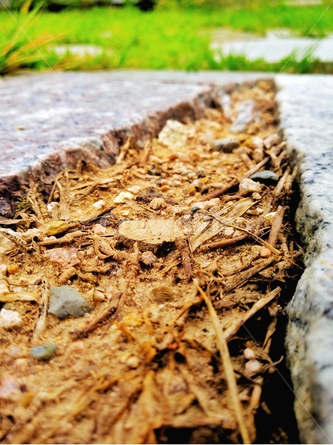 ground,바닥,대리석,길,marble,나무그루터기,여름,돌틈,틈새