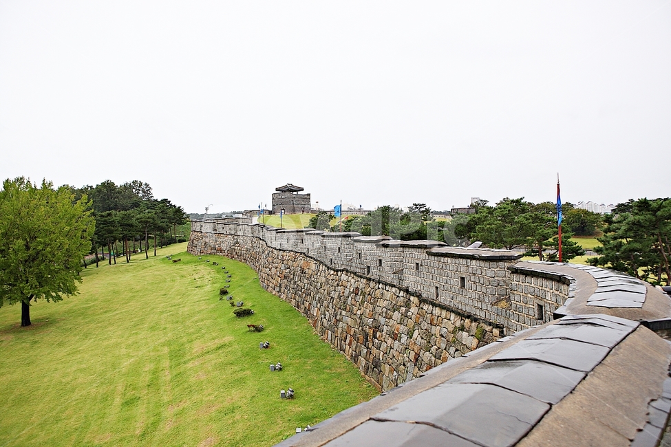 수원화성,성,성곽,길,둘레길,돌담,담,가을,자연,풍경,벽,방어벽,흙담,식물,전통,한국전통,한국문화,korean traditional,korean culture