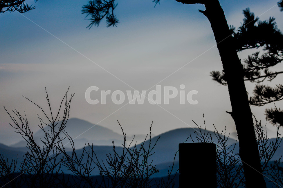 nature,미륵산,통영,산,자연,한국자연경관,koreanaturelandscape,silhouette,실루엣,shadow,나무,식물,plants,자연,풍경,nature,landscape,tree,plant