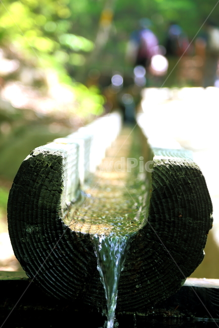 물,수로,감성,시원함,water,나무,나무수로,물길,자연,풍경,nature,landscape,휴식,힐링,rest,relaxation,healing