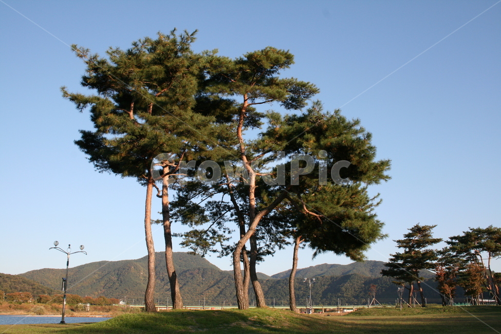 밀양,삼문동,영남루공원,밀양강,푸른