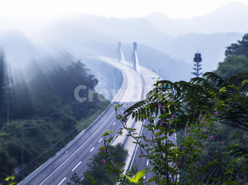 도로,대교,다리,풍경,아침,자연,풍경,nature,landscape,road,freeway,고속 도로,highway,고속도로