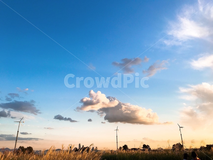 하늘,초저녁,구름,갈대,가을,적운,자연,풍경,nature,landscape,outdoors,옥외,weather,날씨,sky,cumulus,cloud