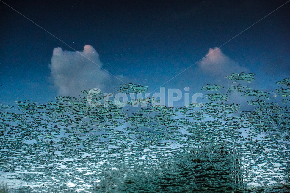 호수,반영,수초,부레옥잠,수생,구름,하늘,투영,자연,풍경,nature,landscape,water,물,ocean,대양,sea,바다,outdoors,옥외