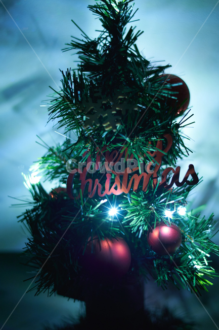 크리스마스,메리크리스마스,나무,tree,merry,christmas,green,축제,행사,festival,carnival,event,메리크리스마스,성탄절,merry christmas