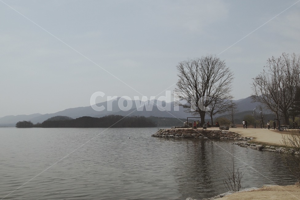 자연,풍경,두물머리,강,나무,고요함,감성,자연,풍경,nature,landscape,water,물,land,땅,outdoors,옥외