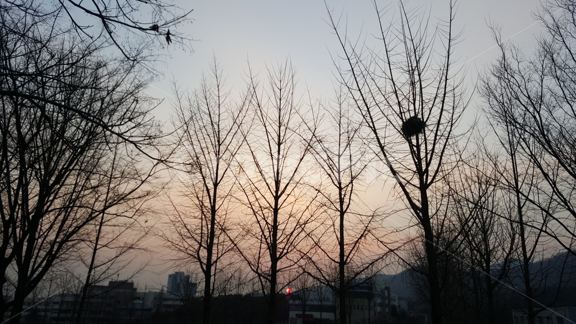 겨울,노을,일몰,석양,sunset,magichour,winter,개와늑대의시간,실루엣,자연,풍경,nature,landscape,실루엣,그림자,silhouette,shadow