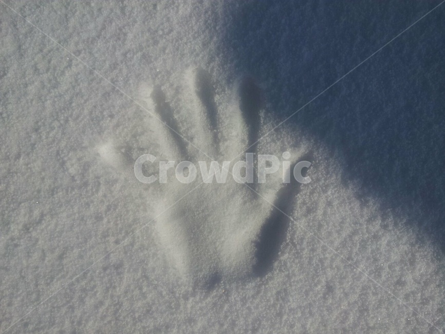 손바닥,하얀눈,따뜻함,겨울,다섯손가락,겨울,계절,winter,season