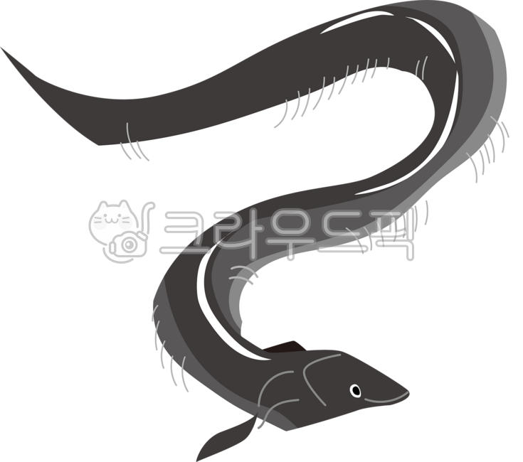 일러스트,생선,장어,물고기,eel,장어일러스트,캐릭터,수산물,장어구이