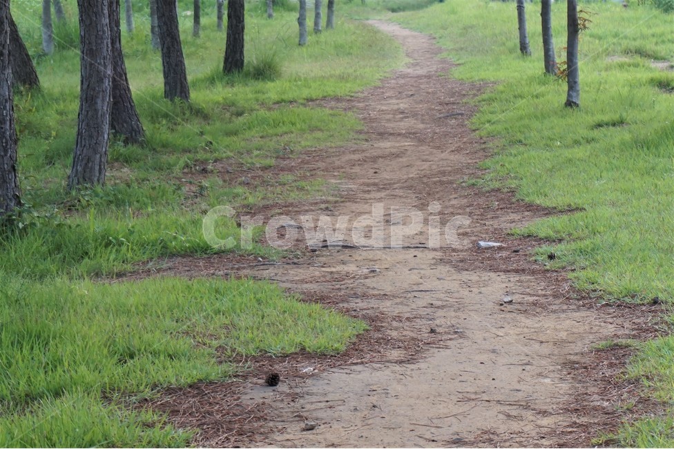 산책로,나무,공원,흙길,trail,trees,park,dirtroad,자연,풍경,nature,landscape,ground,바닥