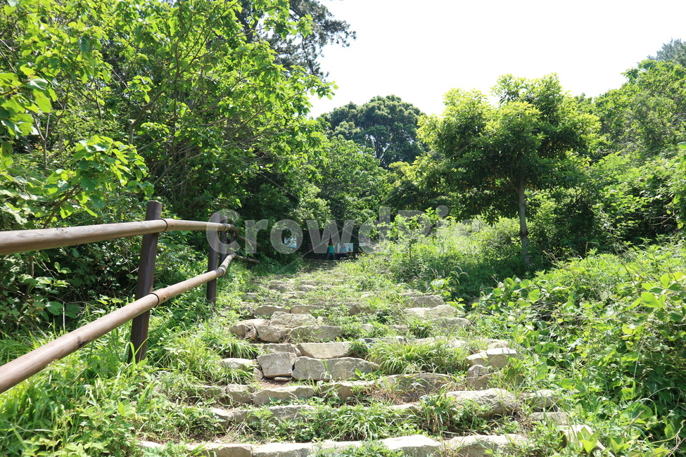 uphill road,Somaemuldo,blue,animated,mountain path,hiking trail,mountain climbing