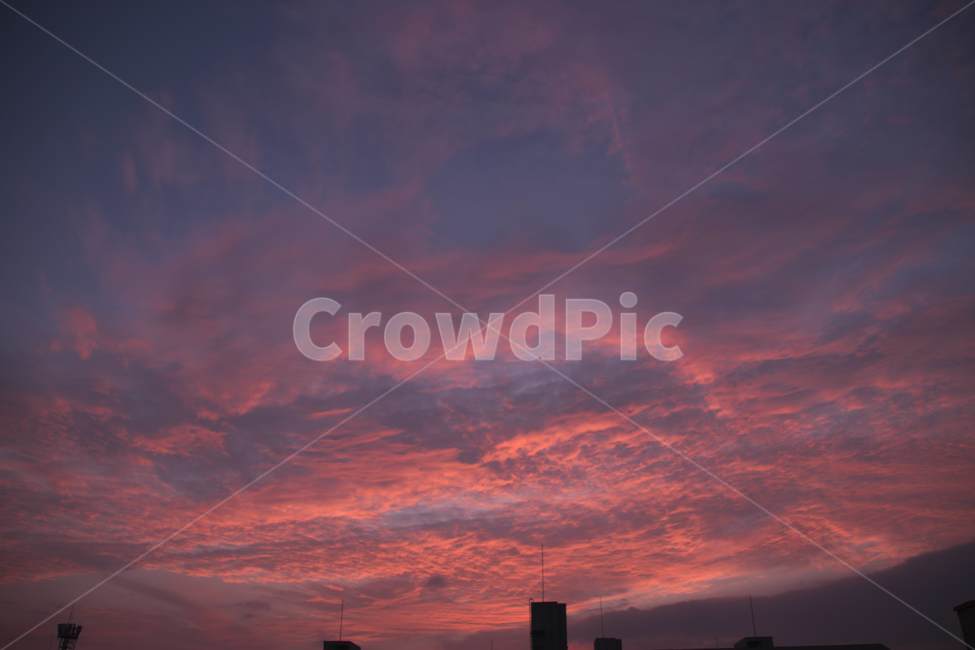 하늘,노을,석양,자연,풍경,색감,해질녘,색상,색채,nature,color,colorsense,sunset,pinksky,sky