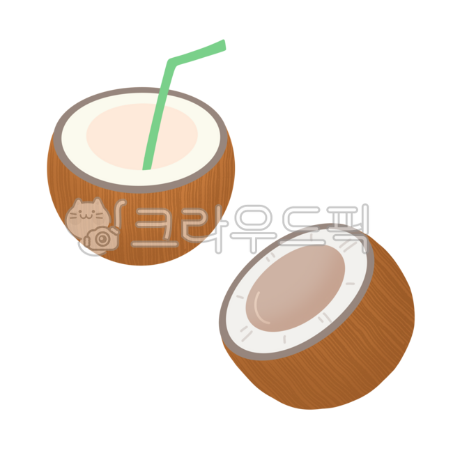 coconut,fruit,tropical fruit,drink,fruit,fruity,dessert,food,food,healthy food,food,hand drawing,sticker,decoration,sticker