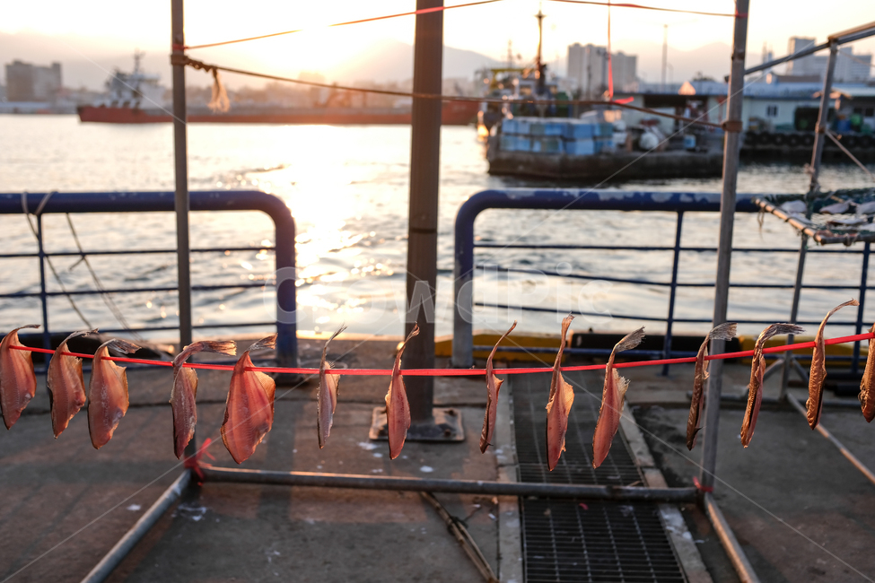 sea village,Beach,fishing village,fish,episode,semidry,dried pollack