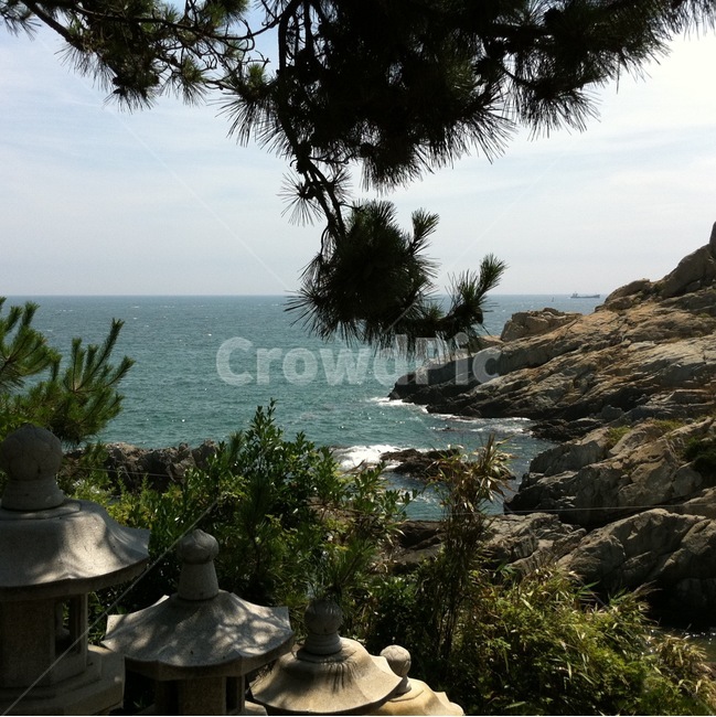배경,풍경,바다,바위,나무