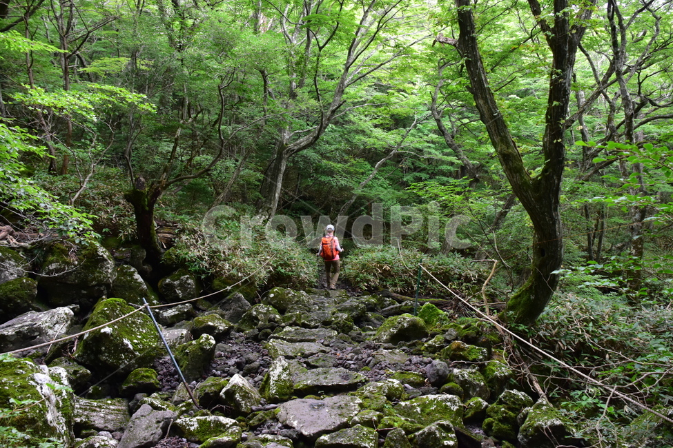 영실,한라산,제주,절경,자연,풍경,힐링,여름,계절,탐방,등산,남벽,윗세오름,season,nature,landscape,한국자연풍경,한국자연경관,korea,naturelandscape,돈내코,제주도,jeju,jejuisland,인간,person,사람,human,자연,풍경,nature,landscape