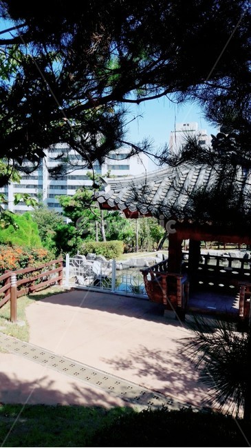 한옥,소나무,공원,산책로,자연,풍경,배경,정원,옥외,outdoors,garden,arbour,정자,한국전통,한국문화,korean traditional,korean culture